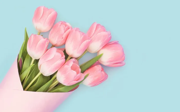Tổng hợp nền Wallpaper - hình nền hoa đẹp mê mẩn
