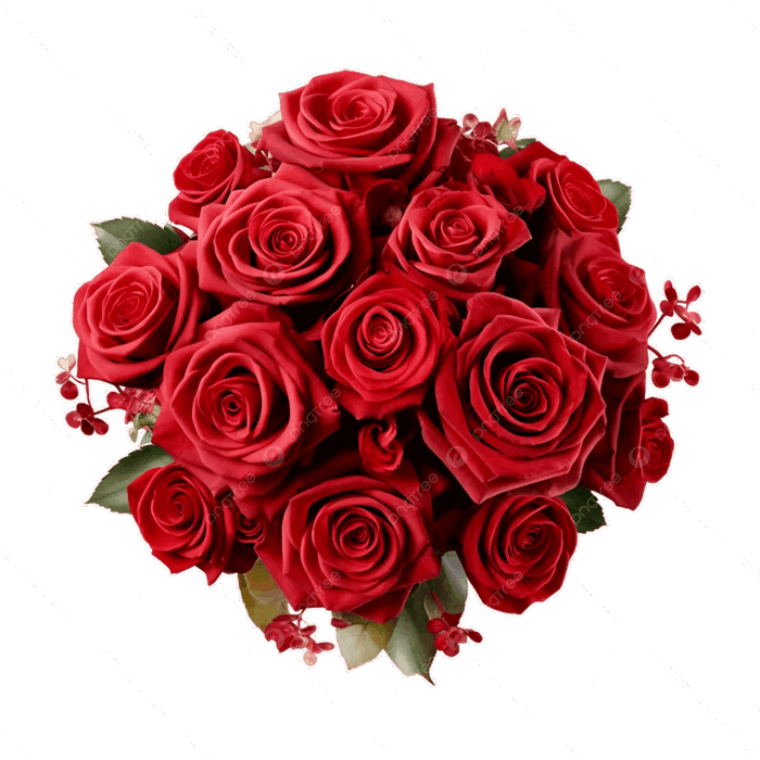 Hình ảnh Bó Hoa Hồng đỏ Lớn Rất Nhiều Trên Nền Trắng PNG , Bó Hoa Hồng đỏ  Lớn, Rất Nhiều Trên Nền Trắng, Bó Hoa Hồng đỏ Lớn Rất Nhiều Trên