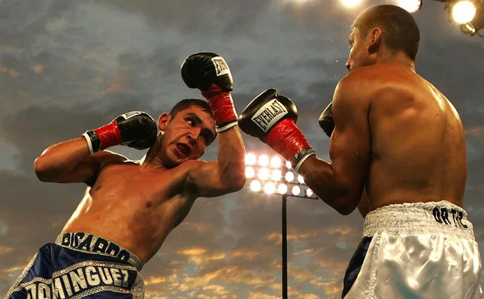 Hơn 6000 ảnh Quyền Anh và Boxing miễn phí - Pixabay