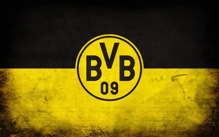 Borussia Dortmund Wallpapers (60 images) - WallpaperCat