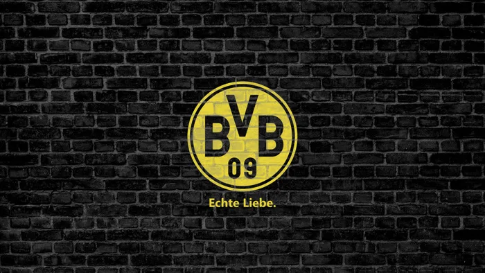 Borussia Dortmund Wallpapers (60 images) - WallpaperCat