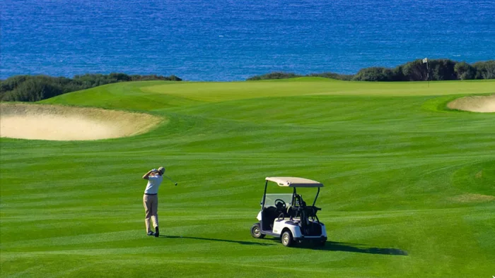 Đánh phụ nữ gãy gậy golf: HĐND Quảng Nam 