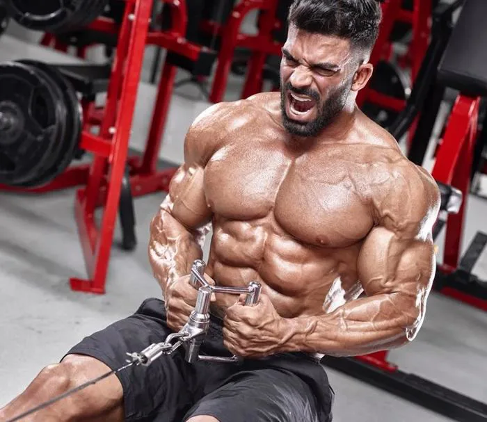 20+ Ảnh Gym Nghệ Thuật Thể Hình Đẹp, Body Chuẩn Vạn Người Mê 20+ Ảnh Gym Nghệ Thuật Thể Hình Đẹp, Body Chuẩn Vạn Người Mê