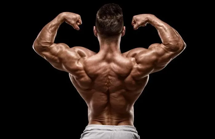20+ Ảnh Gym Nghệ Thuật Thể Hình Đẹp, Body Chuẩn Vạn Người Mê 20+ Ảnh Gym Nghệ Thuật Thể Hình Đẹp, Body Chuẩn Vạn Người Mê