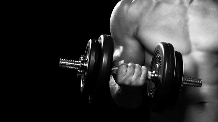 Khám Phá Vẻ Đẹp Tinh Tế Của Gym Khám Phá Vẻ Đẹp Tinh Tế Của Gym