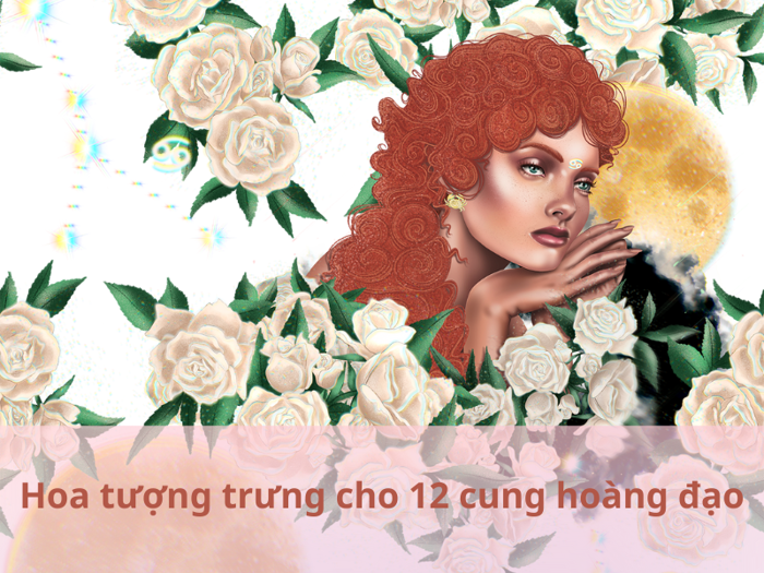 Loại hoa tượng trưng cho 12 cung hoàng đạo và Ý nghĩa từng loại – Flosa