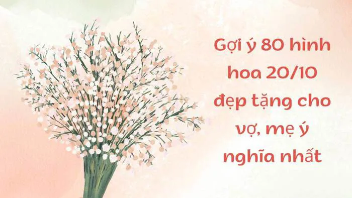 80+ hình hoa 20/10 đẹp tặng cho vợ, mẹ ý nghĩa nhất