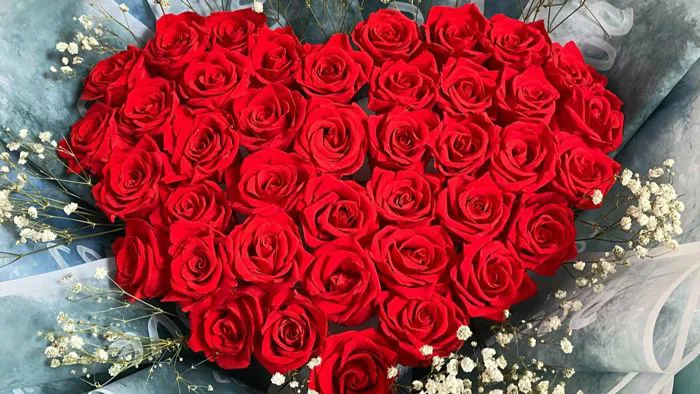 Nên tặng hoa gì ngày 8/3? Gợi ý 20+ hoa tặng 8/3 đẹp, ý nghĩa nhất