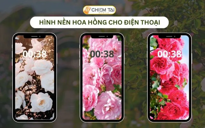 299+ Hình nền hoa hồng cho điện thoại FULL HD 8K Đẹp nhất