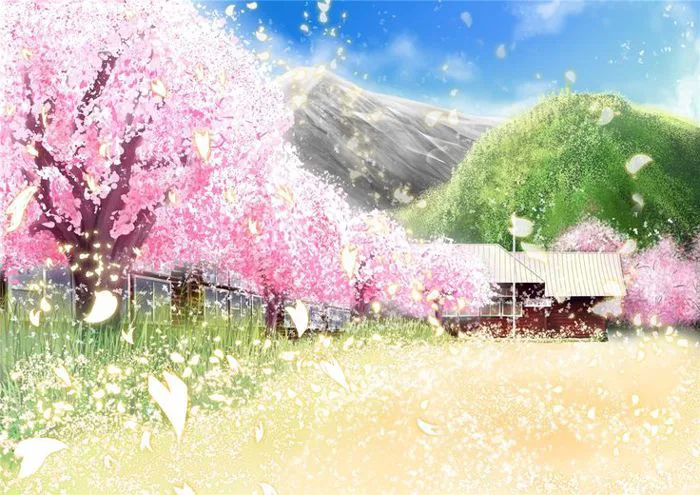 50 Hình nền hoa anh đào đẹp nhất của Nhật Bản | Cherry blossom field  background,