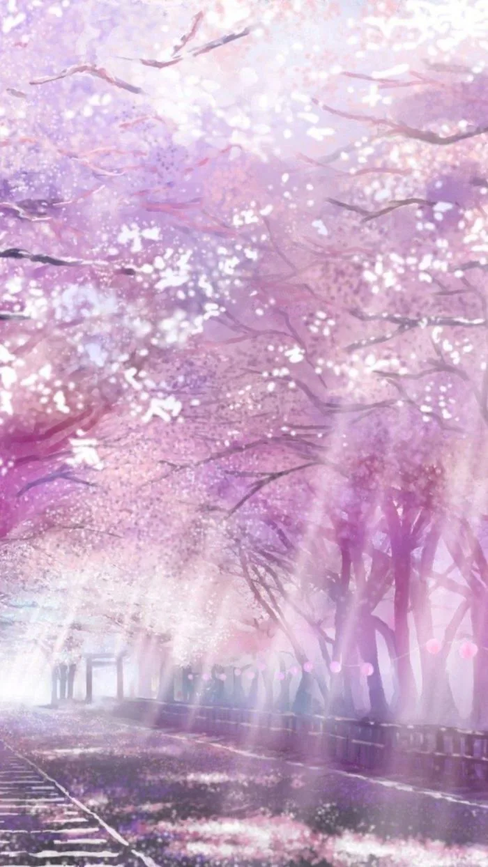 Hình nền anime hoa anh đào tuyệt đẹp