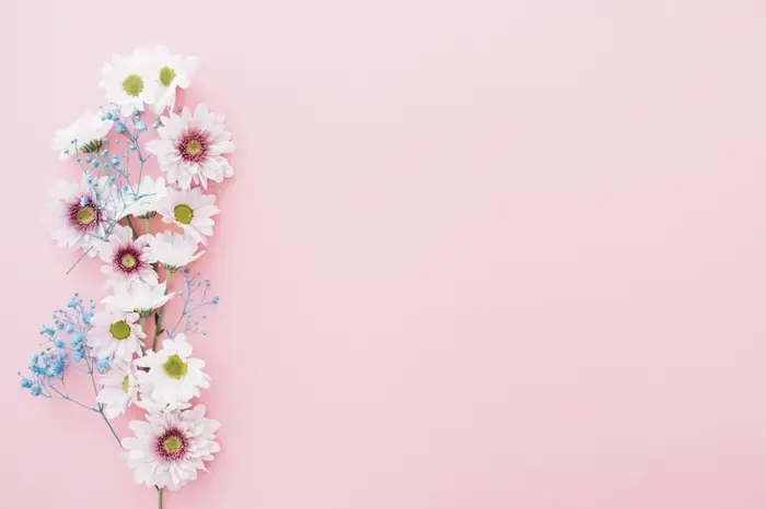 Tổng hợp 50 ảnh background hoa baby đẹp mê mẩn nhất