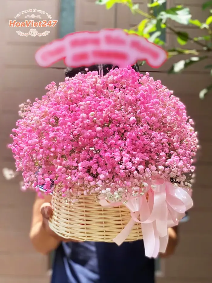 Những mẫu hoa Baby đẹp xinh xắn chứa đựng nhiều ý nghĩa