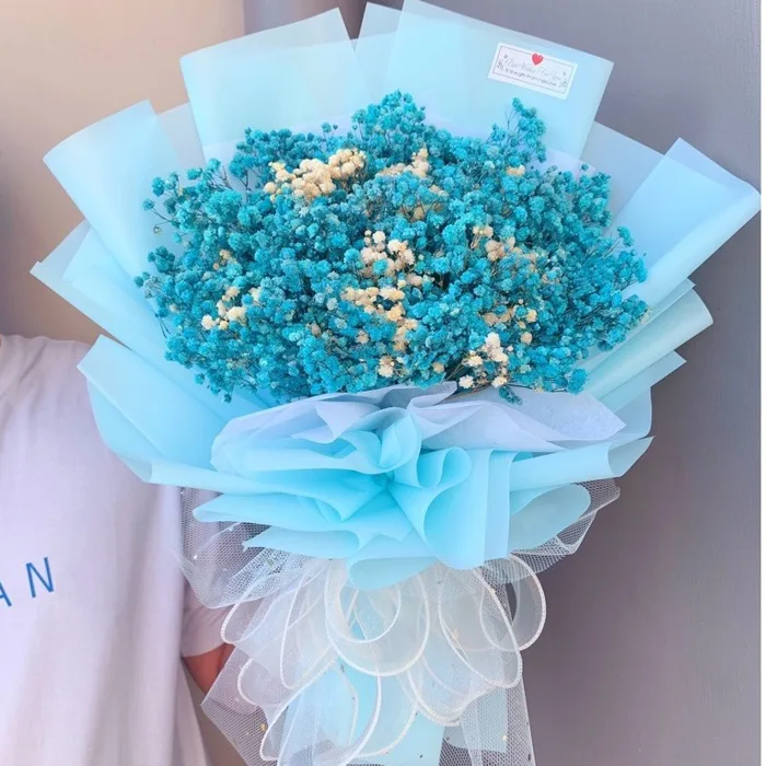 Hoa baby xanh - Giá Tốt, Miễn Phí Vận Chuyển, Đủ Loại | Shopee Việt Nam