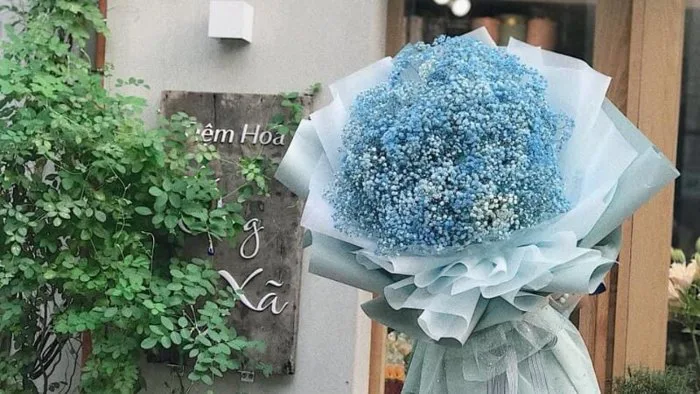 Top những loài hoa màu xanh dương hiếm có, đẹp và ý nghĩa