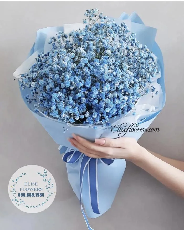 Bó hoa baby màu xanh dương size nhỏ xinh tặng bạn tốt nghiệp ở Hà Nội