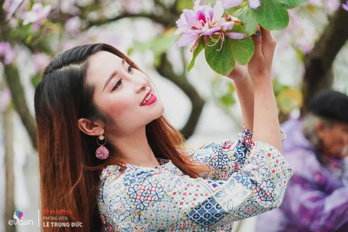 Hoa ban ở Hà Nội nở dịu dàng, chị em lên đồ chụp ảnh cực đẹp
