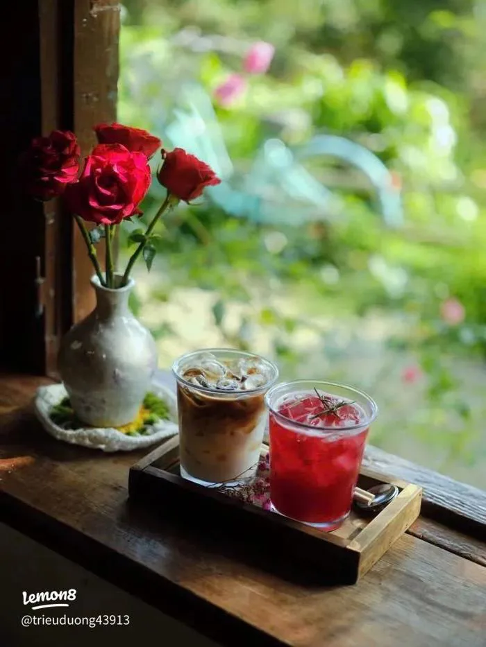 Hình nền hoa sen vàng may mắn bình an cho ngày mới tràn đầy năng lượng