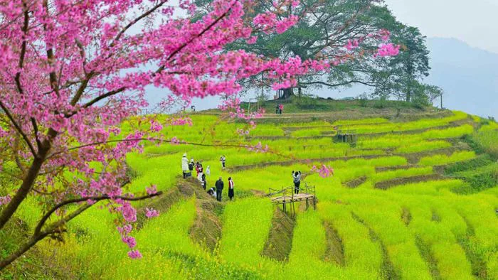 Chiêm ngưỡng các ảnh đẹp Hòa Bình khiến bạn không thể bỏ lỡ