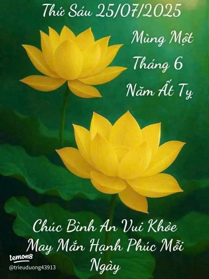 Hình nền hoa sen vàng may mắn bình an cho ngày mới tràn đầy năng lượng