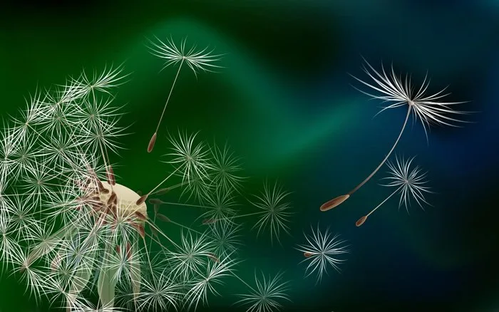 hinh-nen-hoa-bo-cong-anh-dep-10 | Wallpaper - Hinh nen hoa b… | Flickr