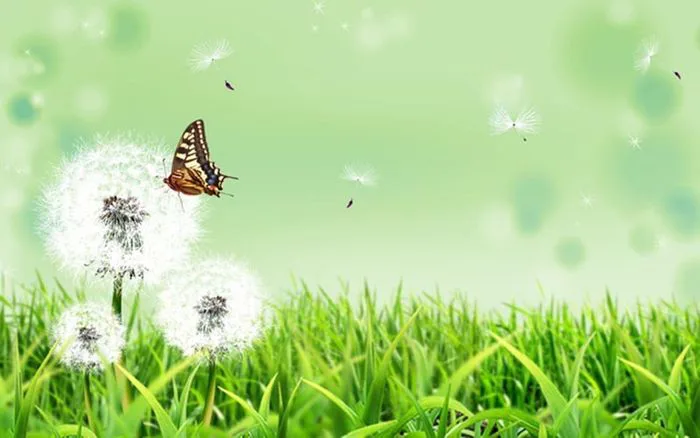 50+ Hình ảnh hoa Bồ Công Anh - Tuyển tập những hình ảnh đẹp nhất về hoa Bồ  Công Anh, mang đến vẻ đẹp tinh khiết và mong manh của loài hoa này.