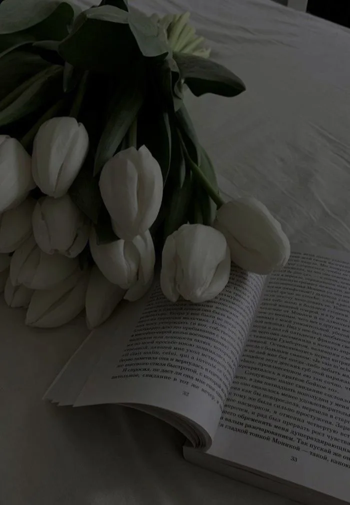 799+ Hình nền hoa tulip full hd 4K chill cute đẹp nhất miễn phí