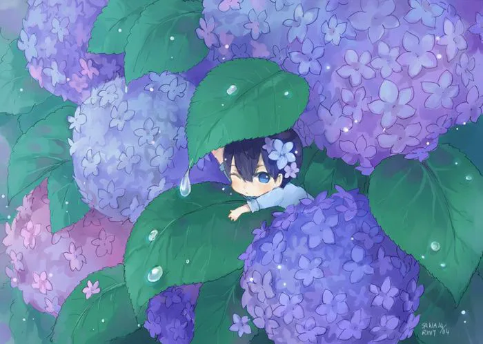 Khám phá 38 ý tưởng Cẩm Tú Cầu ❤ và hoa tú cầu | nghệ thuật anime, nghệ  thuật, hoạt hình và các ý tưởng khác
