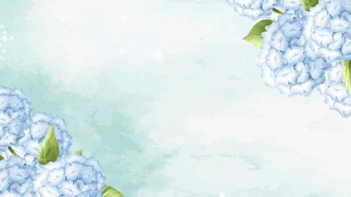 Hình ảnh Nền Hoa Cẩm Tú Cầu, Hoa Cẩm Tú Cầu Vector Nền Và Tập Tin Tải về  Miễn Phí | Pngtree