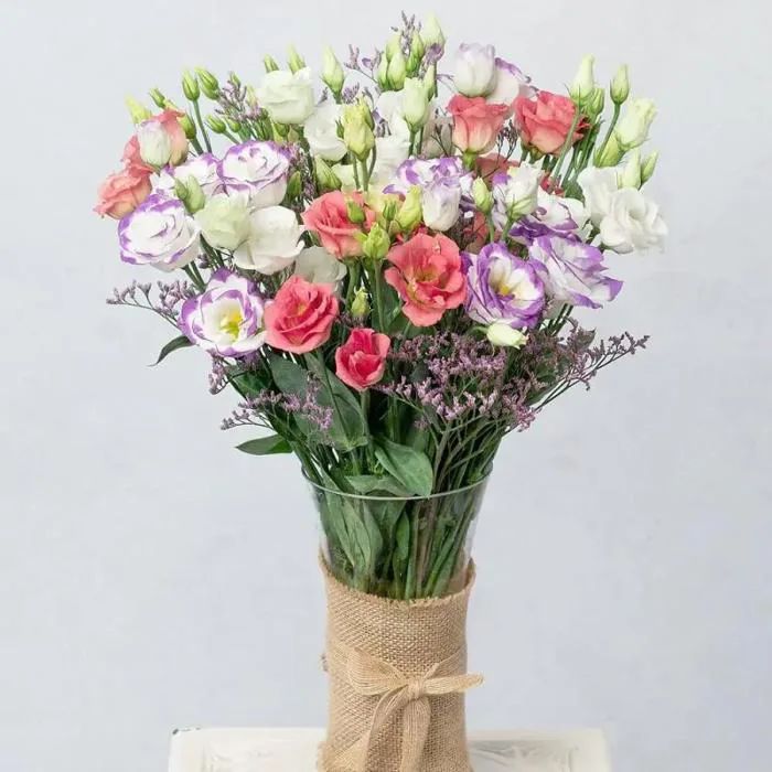 Hoa Cát Tường: Ý Nghĩa, Đặc Điểm và Nguồn Gốc – Flosa