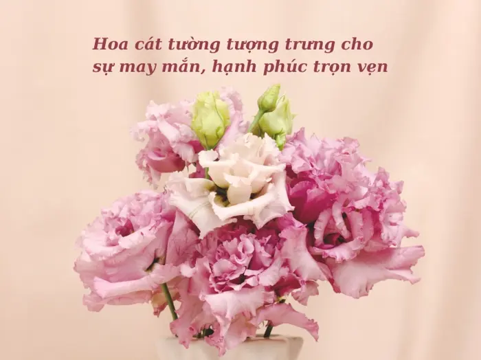 Bộ sưu tập 15 hình nền hoa cát tường rực rỡ sang trọng