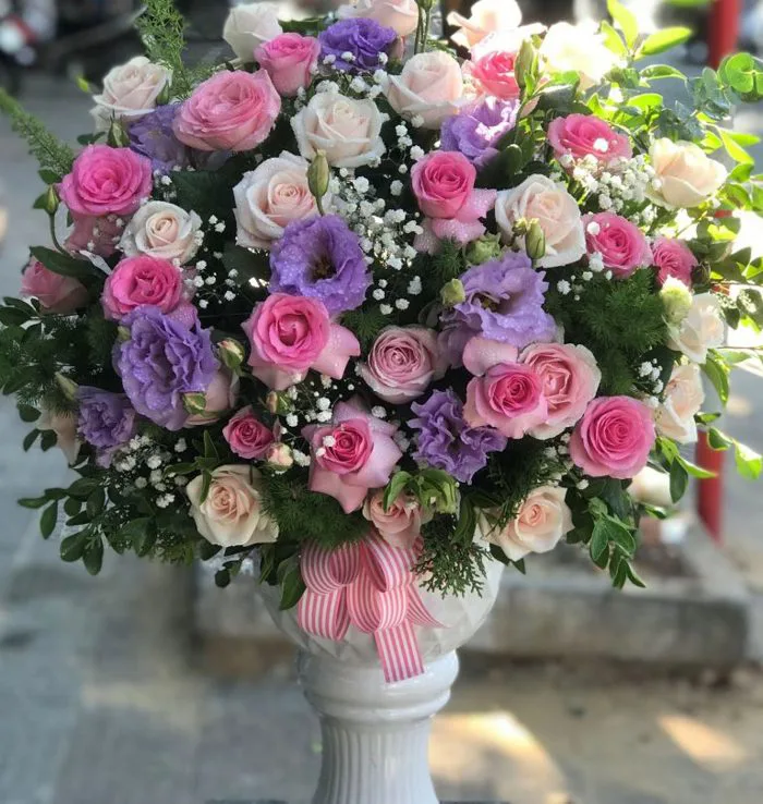 Hoa cát tường (Hoa lan tường)