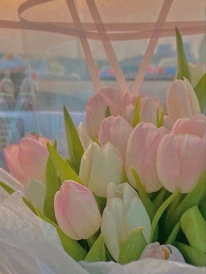 100+ hình nền hoa tulip Full HD 4K cực trang nhã thanh lịch | Yody