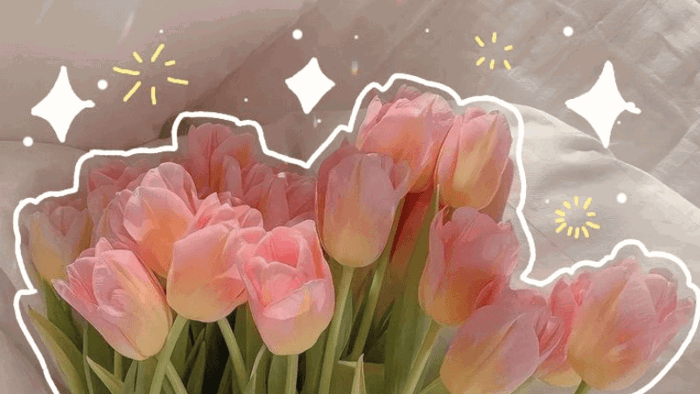 2000+ Hình nền hoa Tulip đẹp nhất Full HD cho điện thoại, máy tính