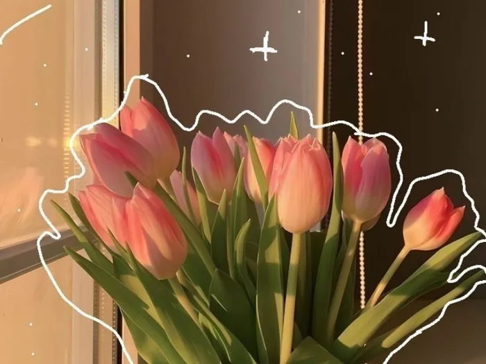 Tải 41+ hình nền hoa Tulip chill đẹp chất lượng 4K miễn phí