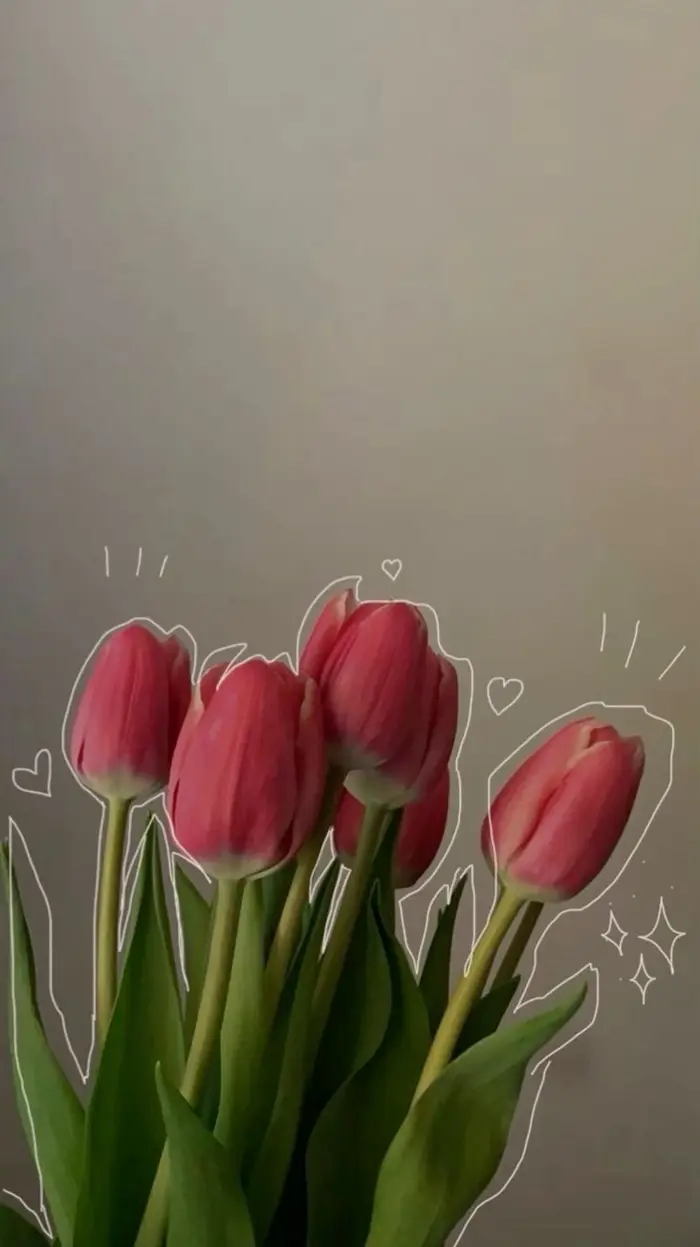 Bộ sưu tập 15+ hoa tulip làm hình nền siêu đẹp chất lượng 4K