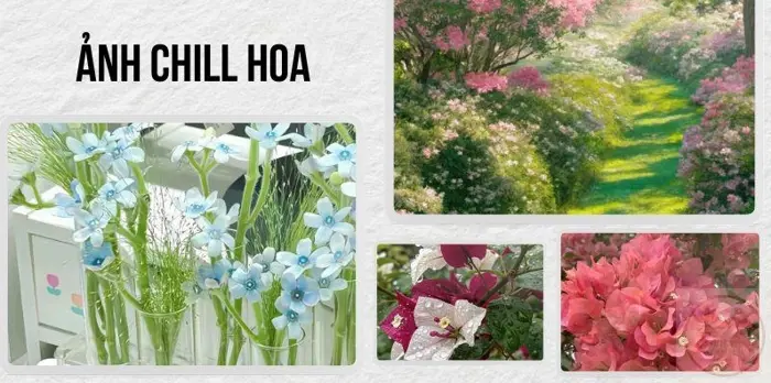 Tải hình nền điện thoại chill hoa: Tuyển tập hình nền hoa tulip đẹp nhất  2026