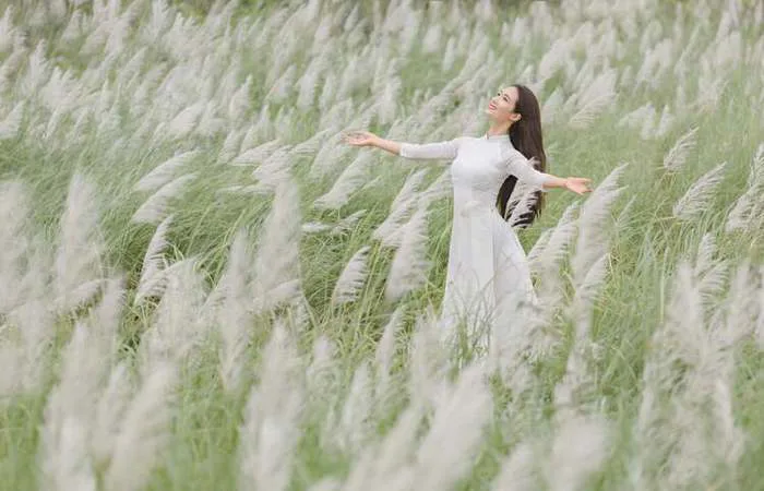 99+ hình ảnh hoa cỏ lau đẹp nhất, không nên bỏ lỡ | Yody