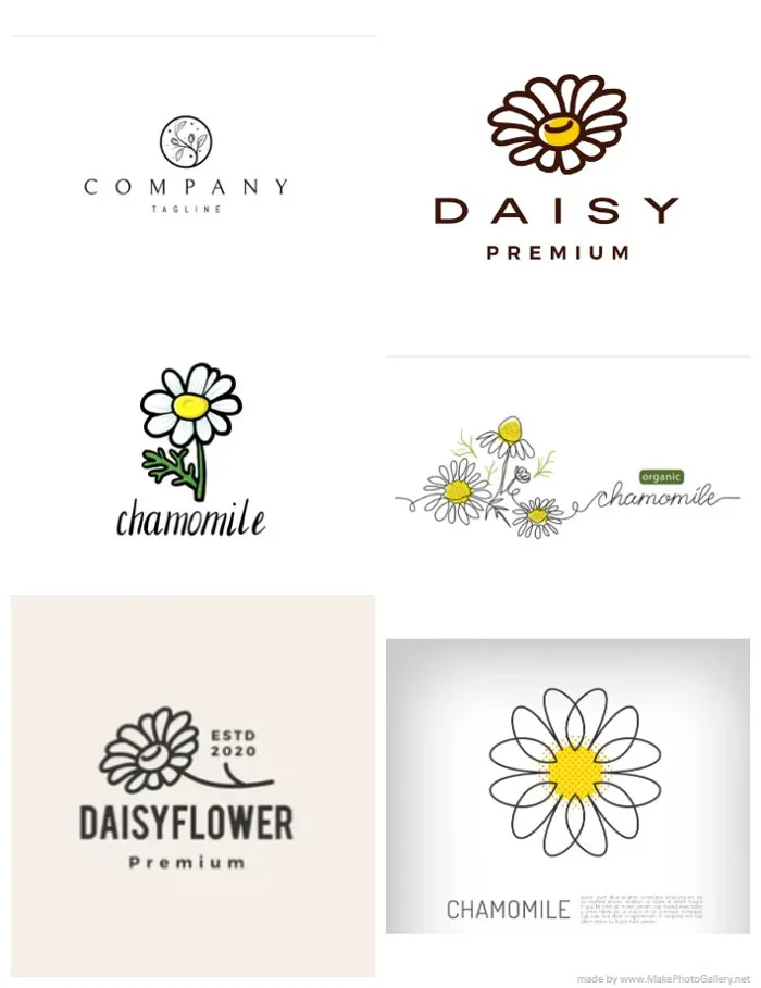 268++ Mẫu thiết kế logo hình hoa Cúc họa mi đẹp (cập nhật 2024)