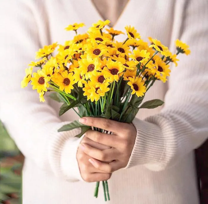 Ý nghĩa hoa cúc vàng và các loại phổ biến