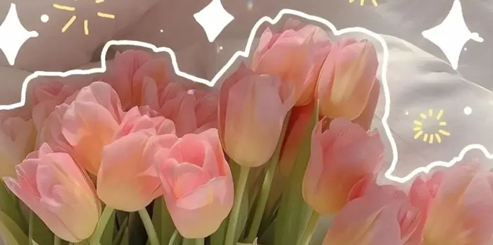 Bộ sưu tập 15+ hình nền hoa tulip vẽ siêu cute dễ thương