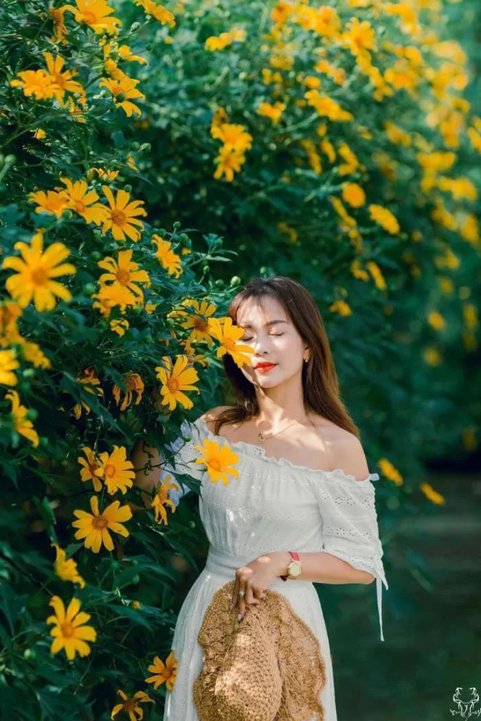Cách chụp ảnh hoa dã quỳ cực nghệ và mẹo phối đồ tôn dáng