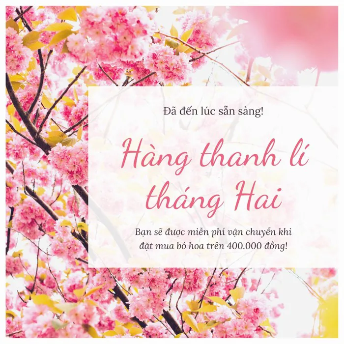 Hình ảnh hoa đào đẹp cho thiệp, banner và hình nền | Canva