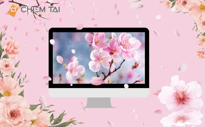 Tổng hợp 15 hình nền ảnh hoa đào đẹp sắc nét lung linh ngày Tết