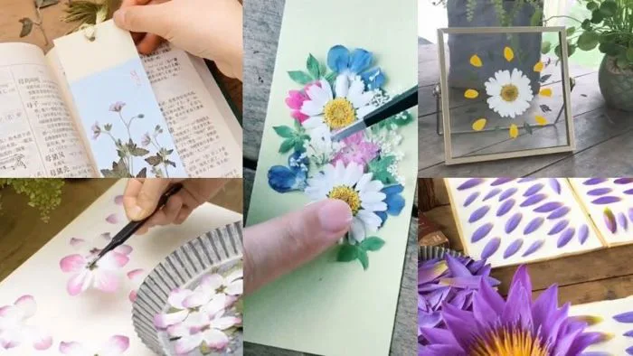 Cách làm hoa ép khô siêu đẹp dùng làm sổ tay, thiệp cực độc đáo