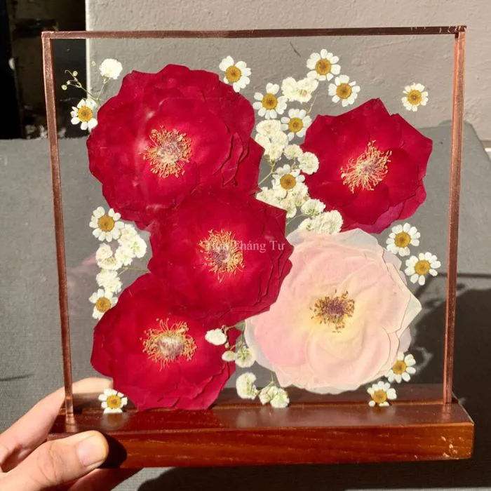 Tranh hoa ép khô để bàn 20x20