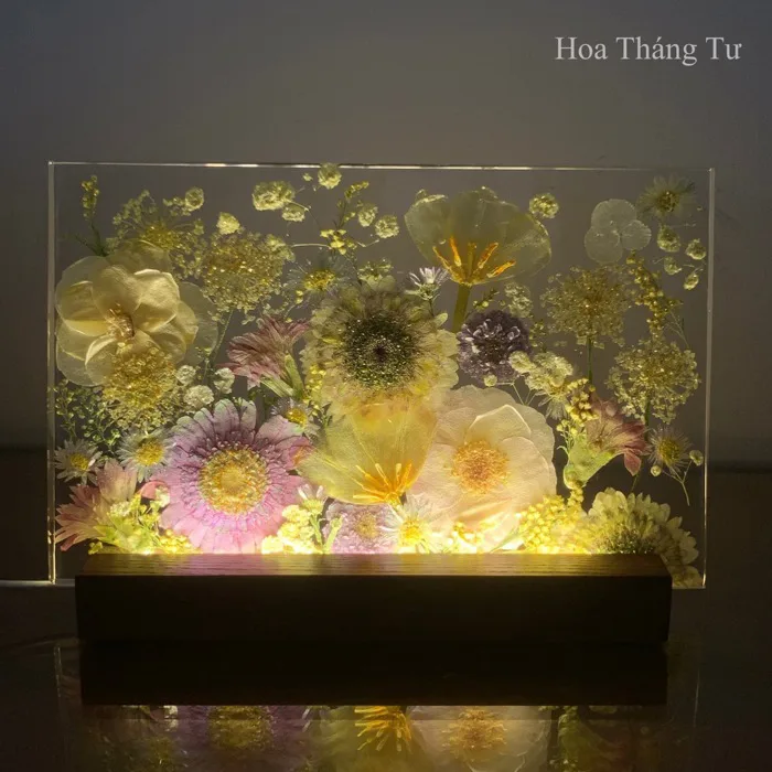 Đèn hoa tốt nghiệp ép khô 18x28