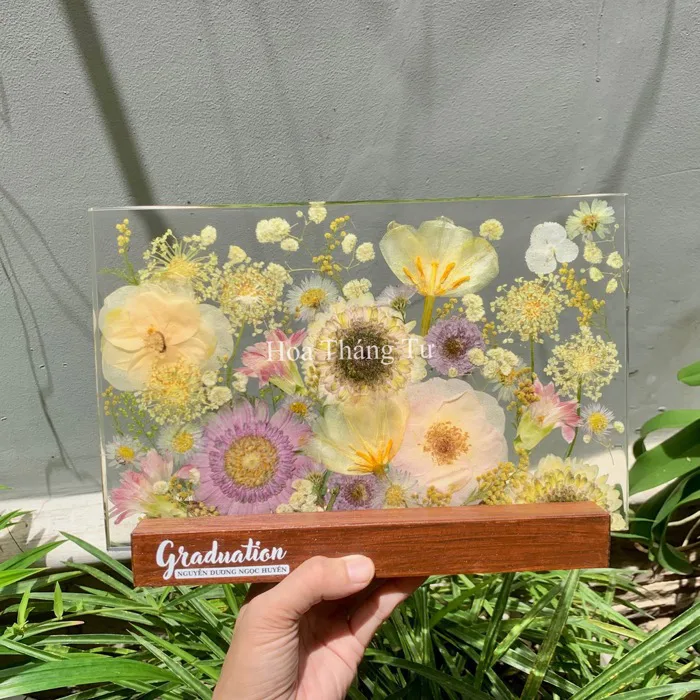 Đèn hoa tốt nghiệp ép khô 18x28