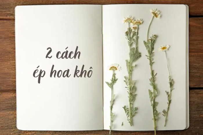 2 cách ép hoa khô tại nhà cực dễ để trang trí sổ tay, thiệp mời