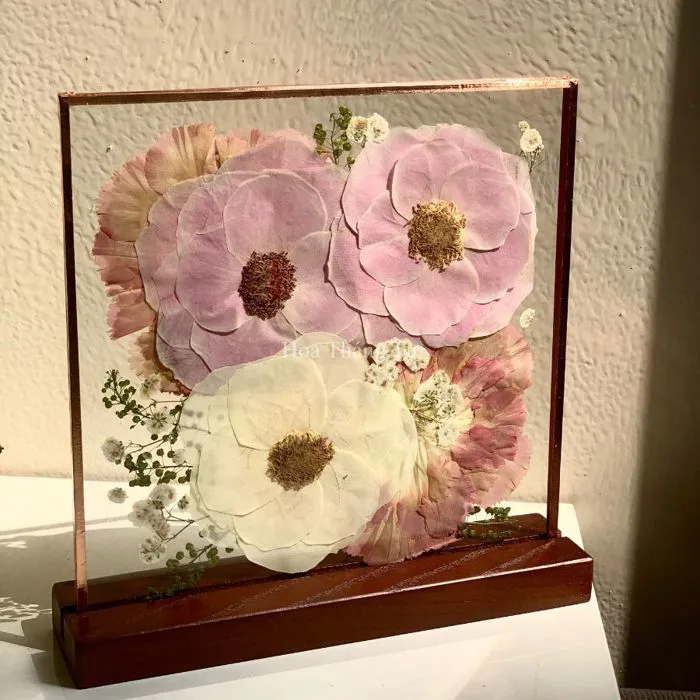 Tranh hoa ép khô để bàn 20x20